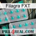 Filagra FXT 29